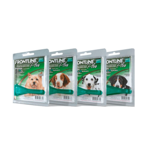 Frontline Pipetas Frontline Plus Perros 20 A 40 Kg (Boehringer Ingelheim)