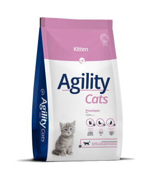 Agility Cats Kitten (Gato)