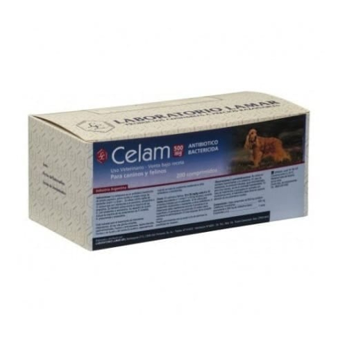 CELAM-500-X-200-COMP.jpg