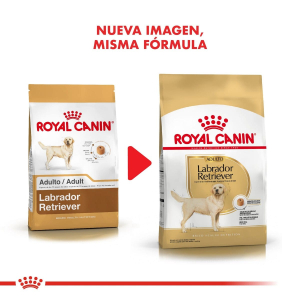 Royal Canin Labrador Retriever 33 Junior 12kg