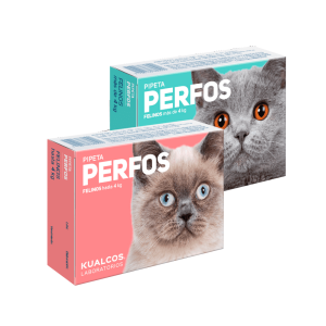 Pipeta Perfos Max Gatos Hasta 4 kg (Kualcos) - Imagen 1