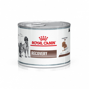 Royal Canin Recovery Lata x 195 gr (Gato y Perro) x Unidad