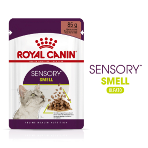 Royal Canin Sensory Smell Pouch (12, foto original del fabricante