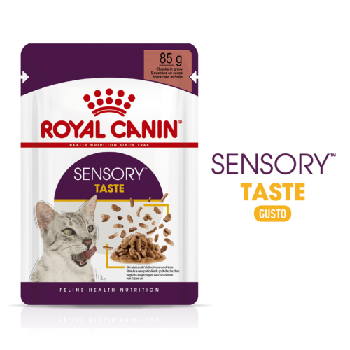 Royal Canin Sensory Taste Pouch (12 original Royal Canin Sensory Taste Pouch (12, foto original del fabricante