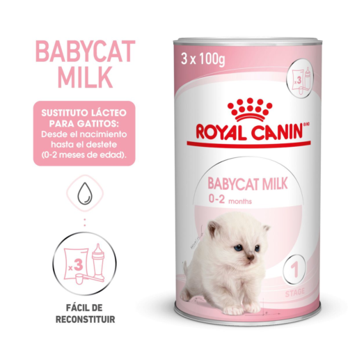 Royal Canin Babycat Milk 3 x 100 g Royal Canin Babycat Milk, sustituto lácteo para gatitos, 3 x 100 g